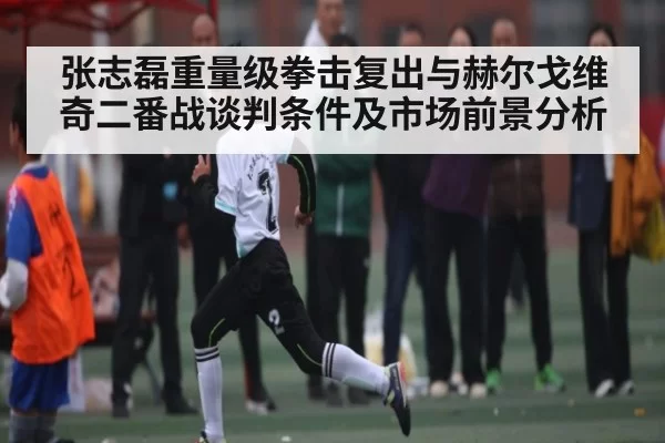 张志磊重量级拳击复出与赫尔戈维奇二番战谈判条件及市场前景分析